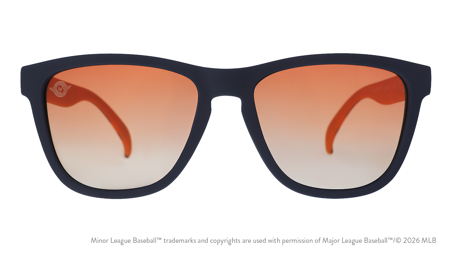 Aviators Take Flight - Image 3