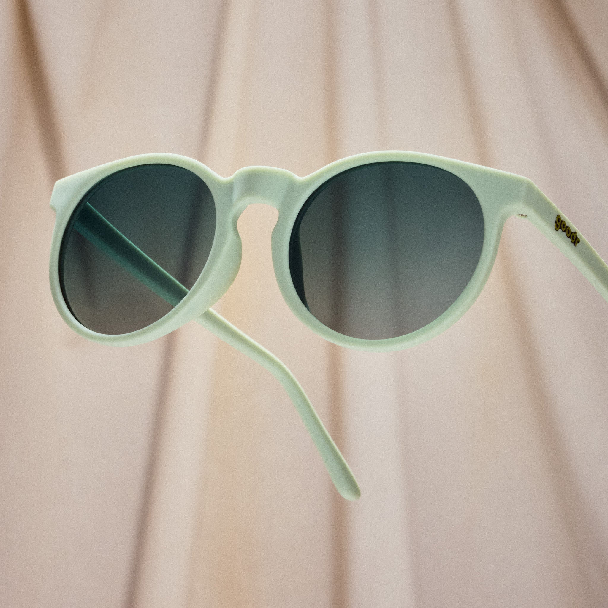 Incognito Plant Parent - Image 5