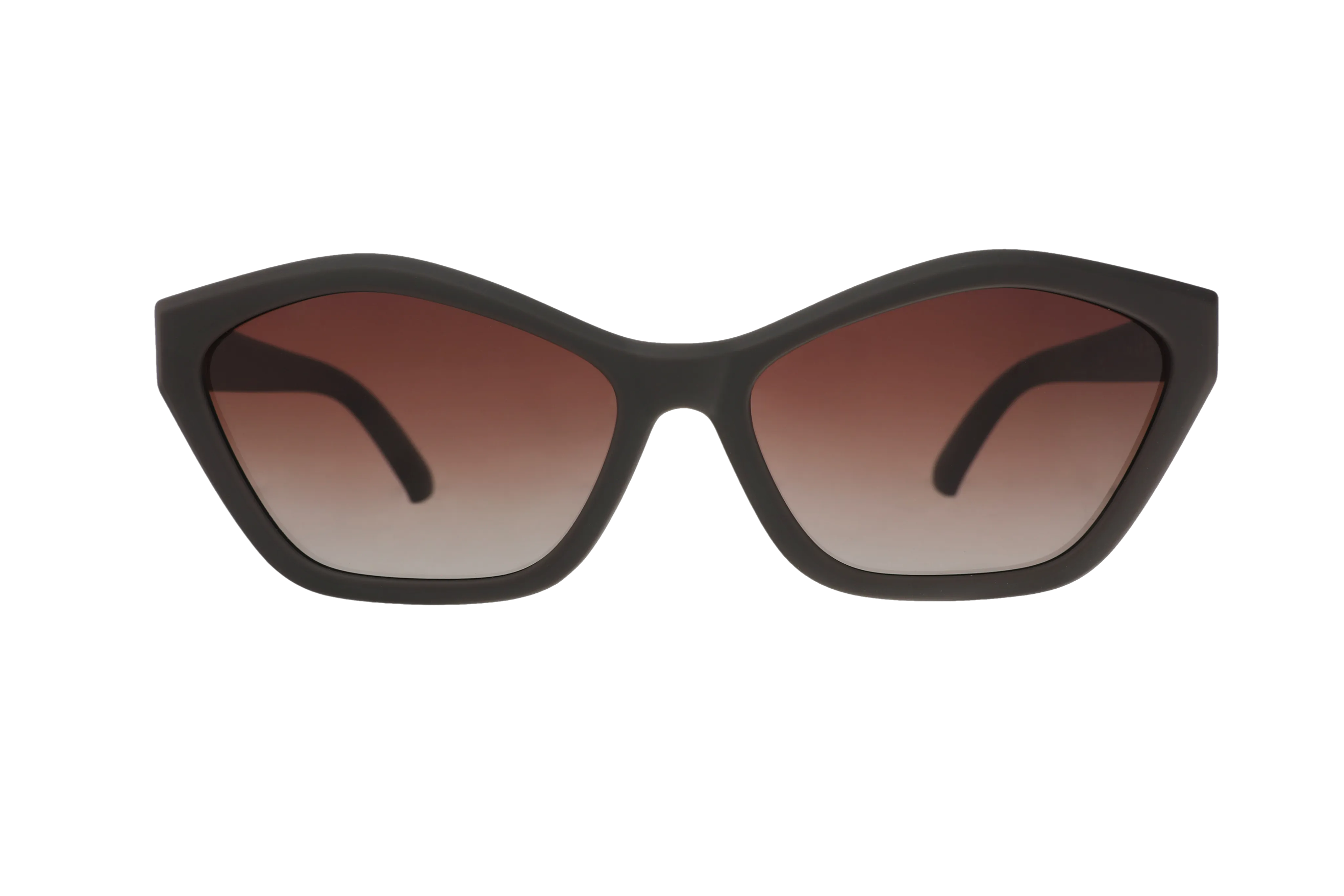 Walnut Wonderland - Image 3